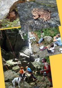 ...on a retrouvé l'habitant de "La veuve Crapaud"... ...on a retrouvé l'habitant de "La veuve Crapaud"...